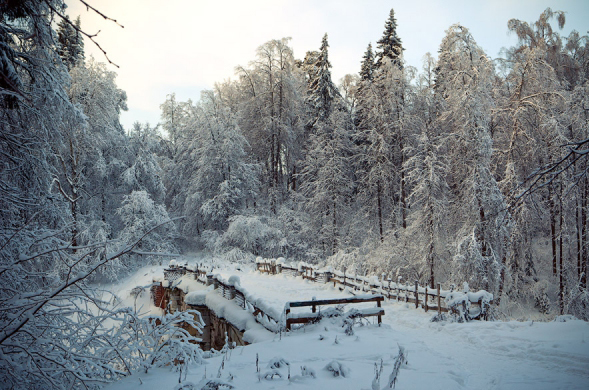 активный отдых в подмосковье московская на выходные зимой середниково